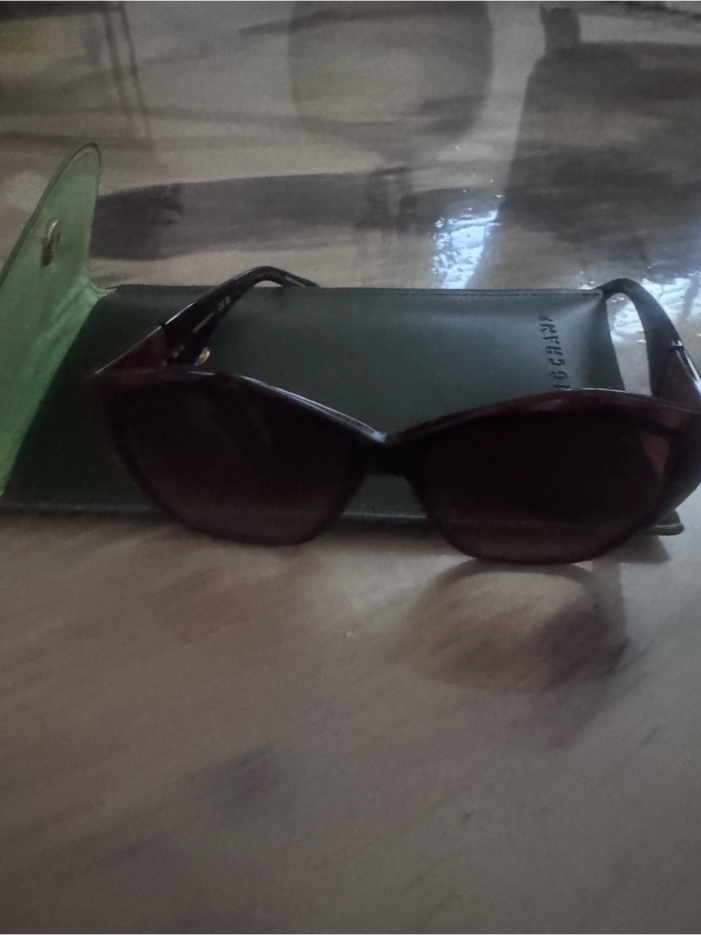 Women’s Tortoiseshell Sunglasses with Green Case Longchamp